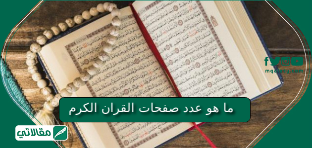 كم عدد صفحات سورة البقرة