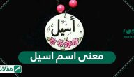 معنى اسم اسيل Aseel وصفات حاملة الاسم وشخصيتها