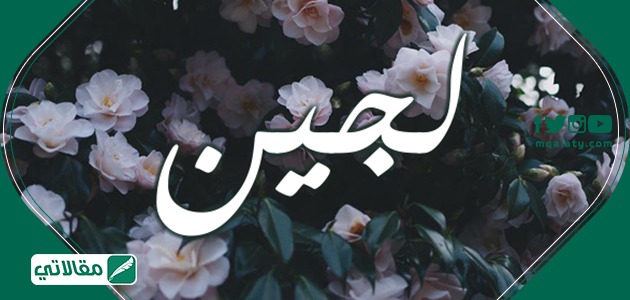 معنى اسم لجين