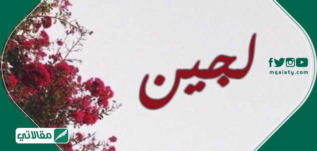 معنى اسم لجين