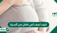 كيف اعرف اني حامل من السرة