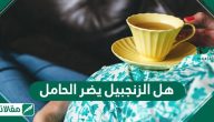 هل الزنجبيل يضر الحامل