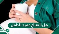 هل النعناع مفيد للحامل