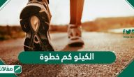 الكيلو كم خطوة