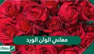 معاني الوان الورد