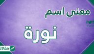 معنى اسم نوره