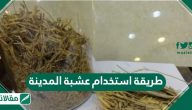 طريقة استخدام عشبة المدينة وأهم فوائدها
