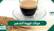 فوائد قهوة الشعير وكيفية تحضير قهوة الشعير