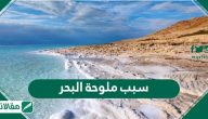 سبب ملوحة البحر
