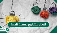 افكار مشاريع صغيرة ناجحة بميزانية ضئيلة