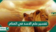 تفسير حلم الاسد في المنام