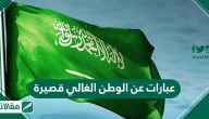 عبارات عن الوطن الغالي قصيرة .. عبارات رائعة عن حب الوطن