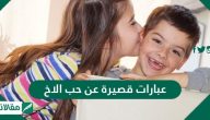 عبارات قصيرة عن حب الاخ .. كلمات جميلة عن الأخ 