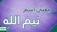 معنى اسم تيم الله وصفات حامله