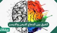 الفرق بين الدماغ الايمن والايسر .. اعرف حقيقة نصف الدماغ الايمن والايسر
