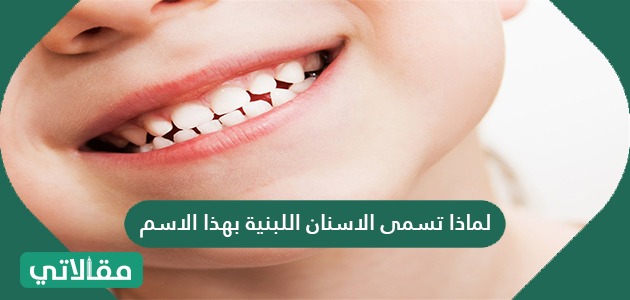لماذا تسمى الاسنان اللبنية بهذا الاسم