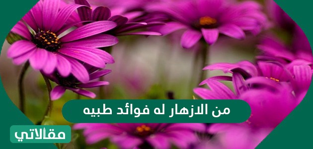 الازهار فوائد طبيه له من من الازهار