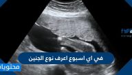 في اي اسبوع اعرف نوع الجنين ..كيف اعرف نوع الجنين دون سونار