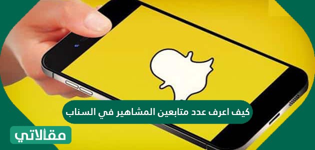 كيف اعرف عدد متابعين المشاهير في السناب