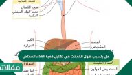 هل يتسبب طول الخملات في تقليل كمية الغذاء الممتص