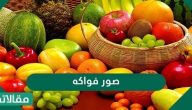 صور فواكه كرتون جاهزة للتلوين