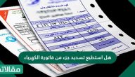 هل استطيع تسديد جزء من فاتورة الكهرباء في المملكة العربية السعودية