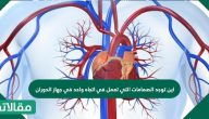 اين توجد الصمامات التي تعمل في اتجاه واحد في جهاز الدوران؟
