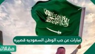 عبارات عن حب الوطن السعوديه قصيره