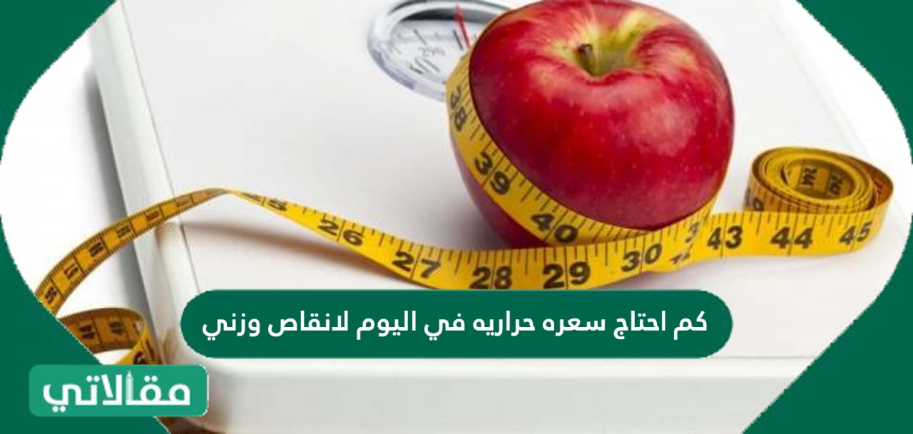 كم احتاج سعره حراريه في اليوم لانقاص وزني