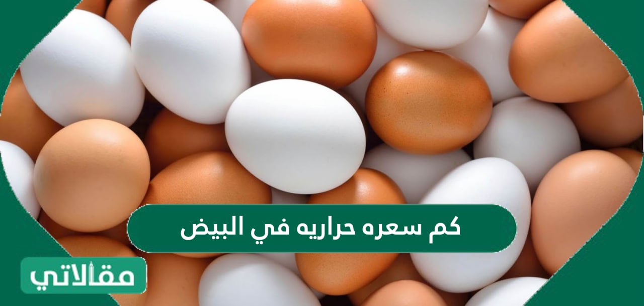 كم سعره حراريه في البيض