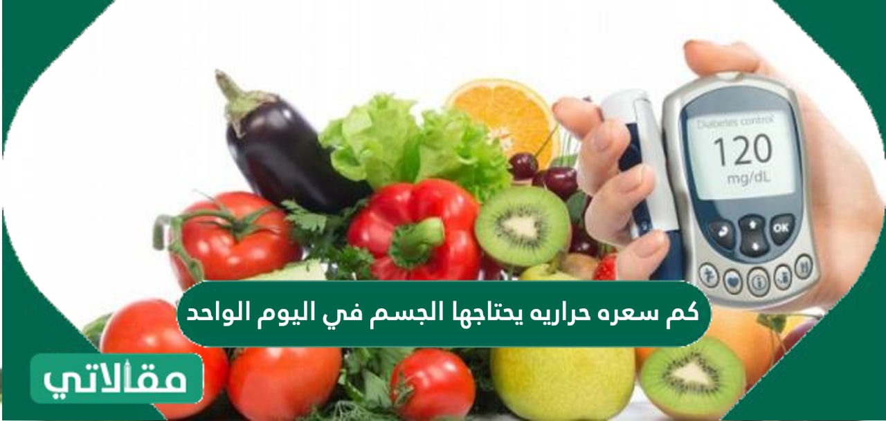 كم سعره حراريه يحتاجها الجسم في اليوم الواحد