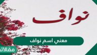 معنى اسم Nawaf نواف في اللغة العربية وأسرار شخصيته