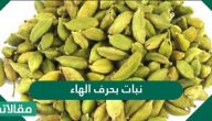 نبات بحرف الهاء (هـ) ونباتات عشبية بحرف الهاء جديدة ومتنوعة
