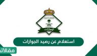 استعلام عن رصيد الجوازات الرابط والخطوات