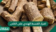 اضرار القسط الهندي على الكلى