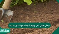 ديدان تعمل على تهوية التربة لتنمو الجذور بسرعة
