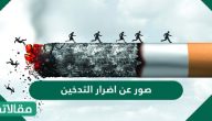 صور عن اضرار التدخين على اعضاء الجسم المختلفة