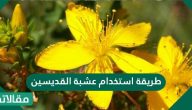 طريقة استخدام عشبة القديسين