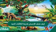 كيف صنف الإنسان قديماً الكائنات الحية