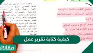 كيفية كتابة تقرير عمل بشكل احترافي