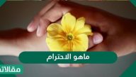ماهو الاحترام في المجتمع وكيف احترم ذاتي و احترم الآخرين