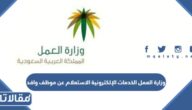 وزارة العمل الخدمات الإلكترونية الاستعلام عن موظف وافد