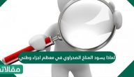 لماذا يسود المناخ الصحراوي في معظم اجزاء وطني