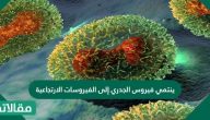 هل ينتمي فيروس الجدري إلى الفيروسات الارتجاعية