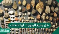 هل جميع الرخويات لها اصداف