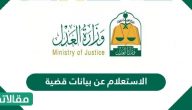 الاستعلام عن بيانات قضية في السعودية