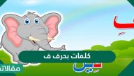 كلمات بحرف ف في البداية والوسط والنهاية