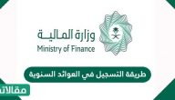 طريقة التسجيل في العوائد السنوية وزارة المالية السعودية