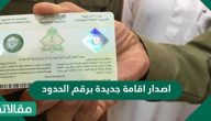 اصدار اقامة جديدة برقم الحدود وكيفية الاستعلام عنها