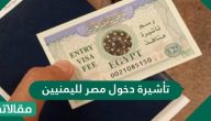 تأشيرة دخول مصر لليمنيين والفئات المعفاة من استخراجها